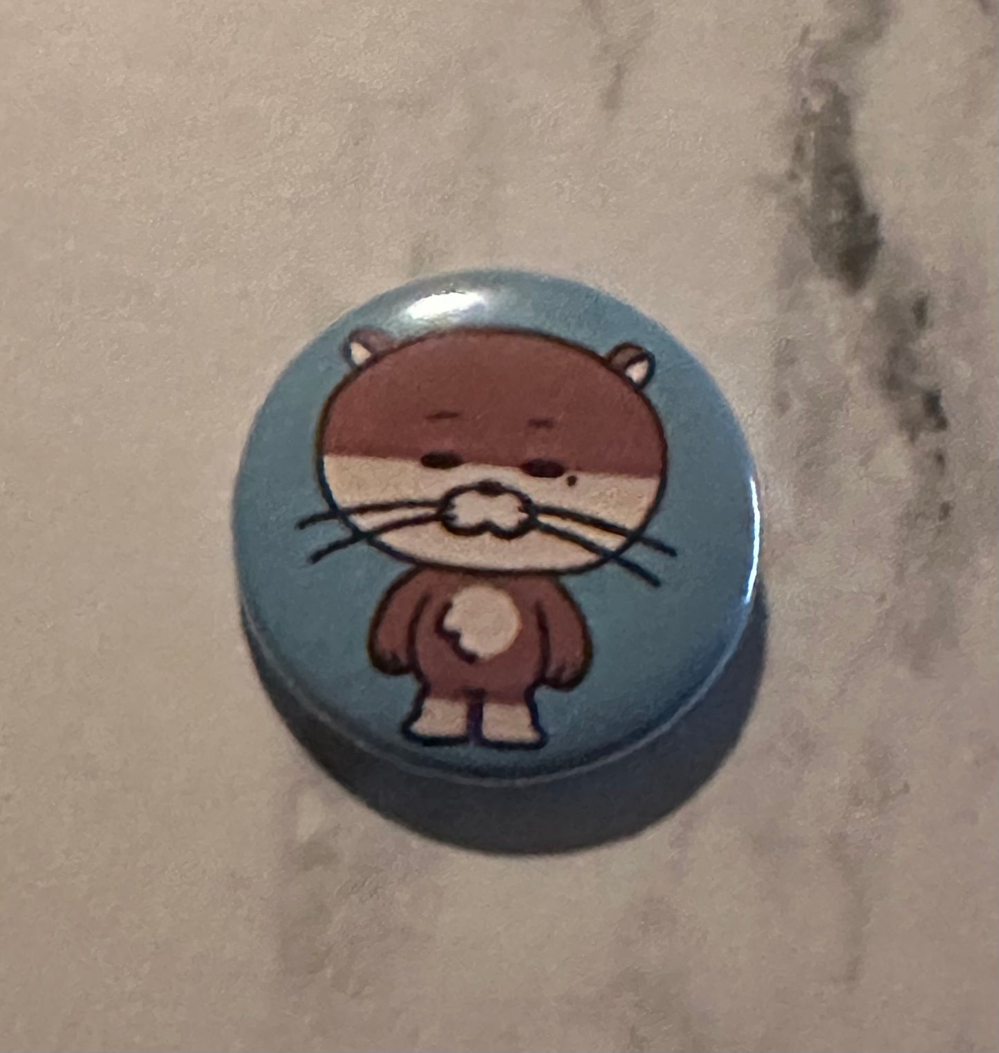 Boynextdoor mini buttons