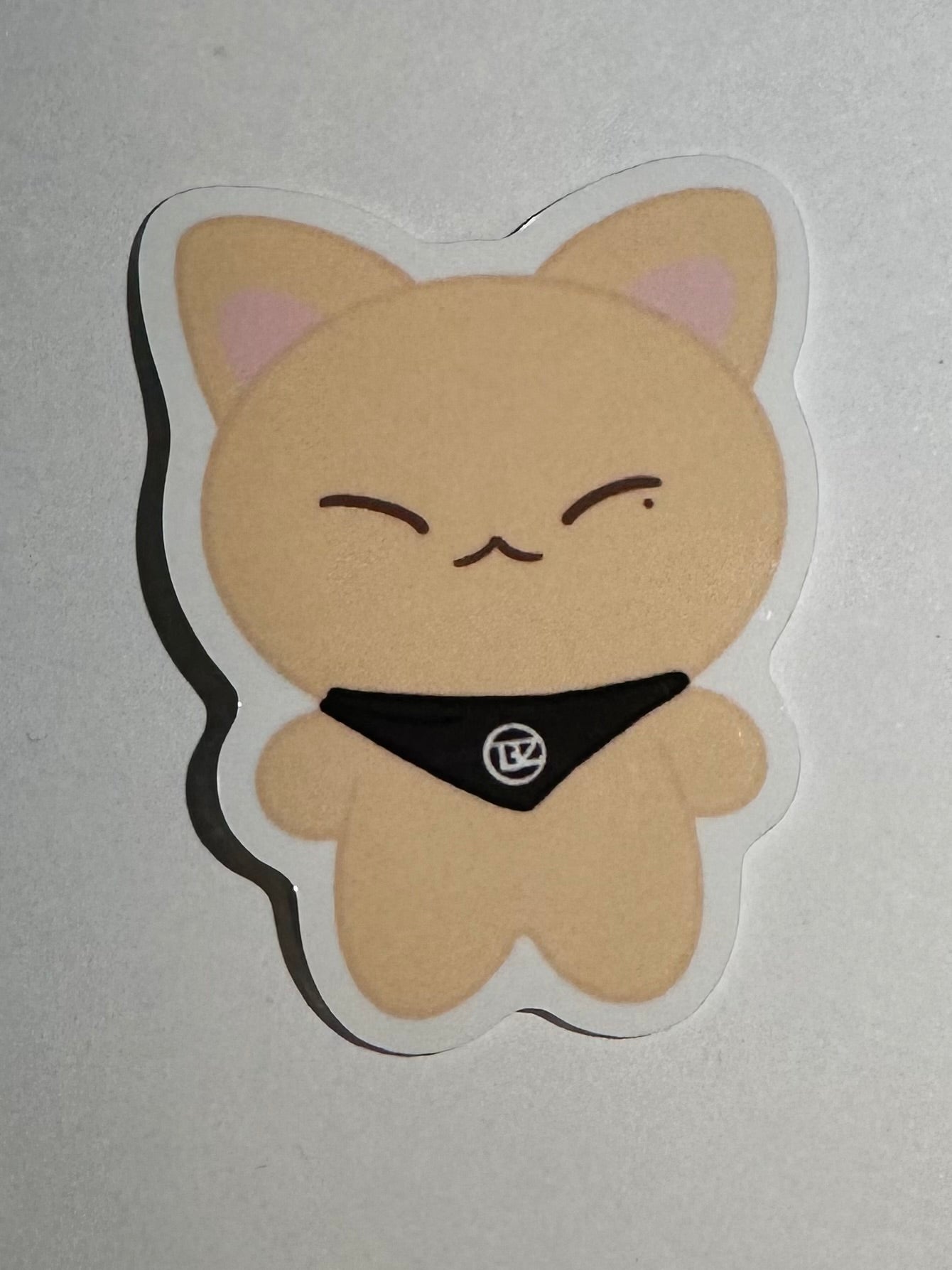 The boyz sticker