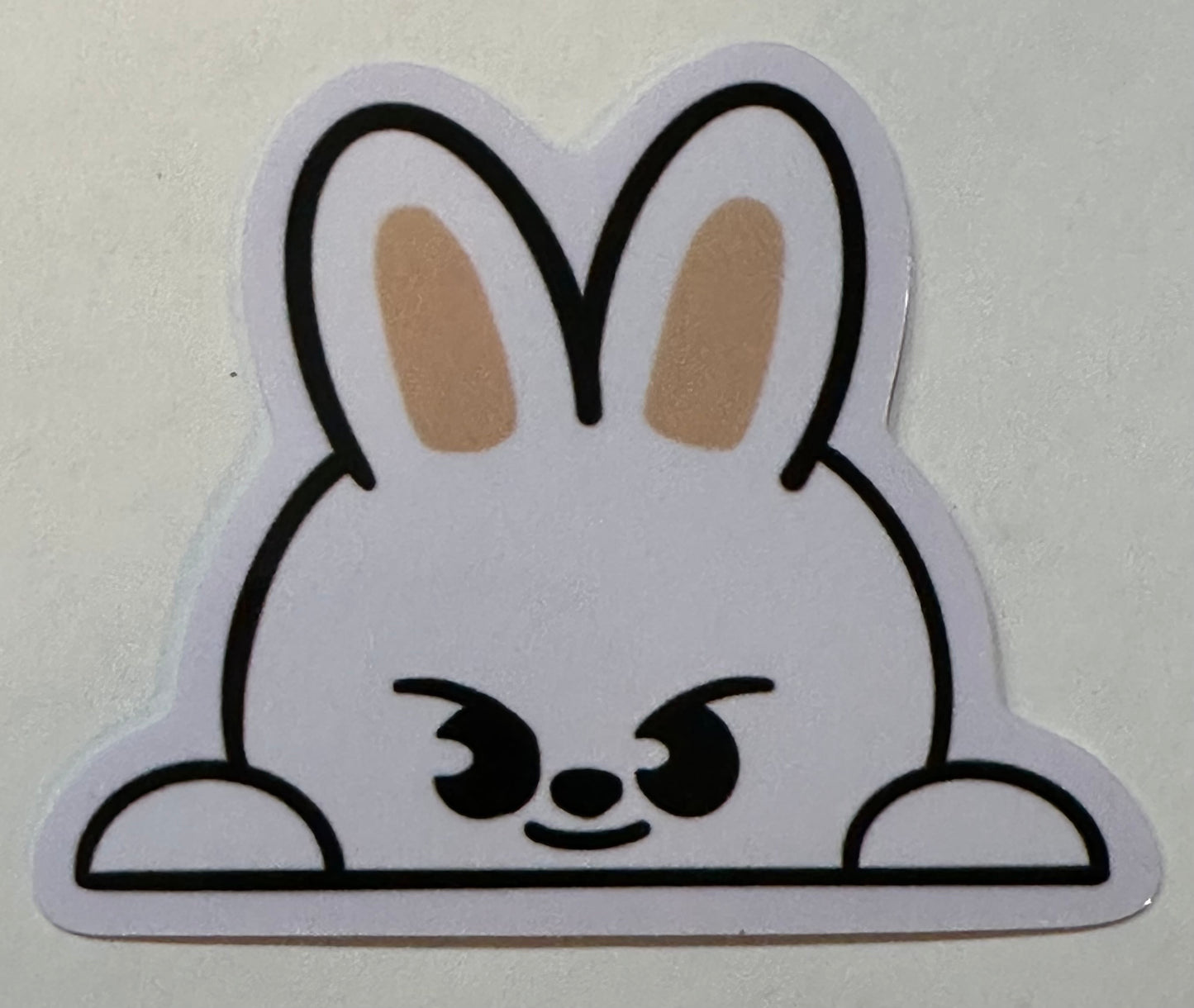 Skzoo peeker sticker