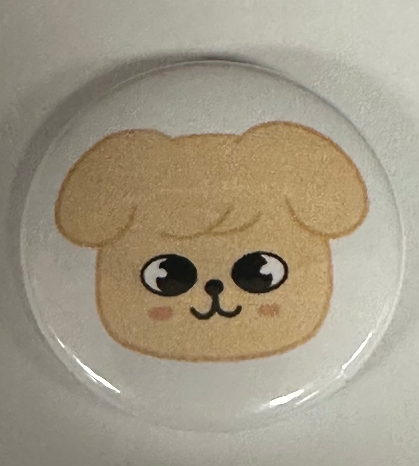 Stray kids mini buttons