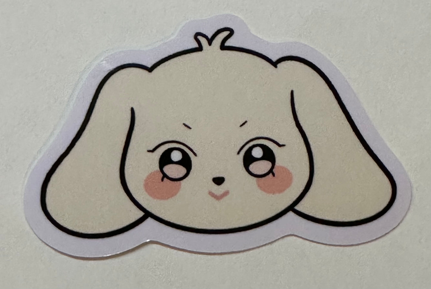 Aniteez peeker sticker