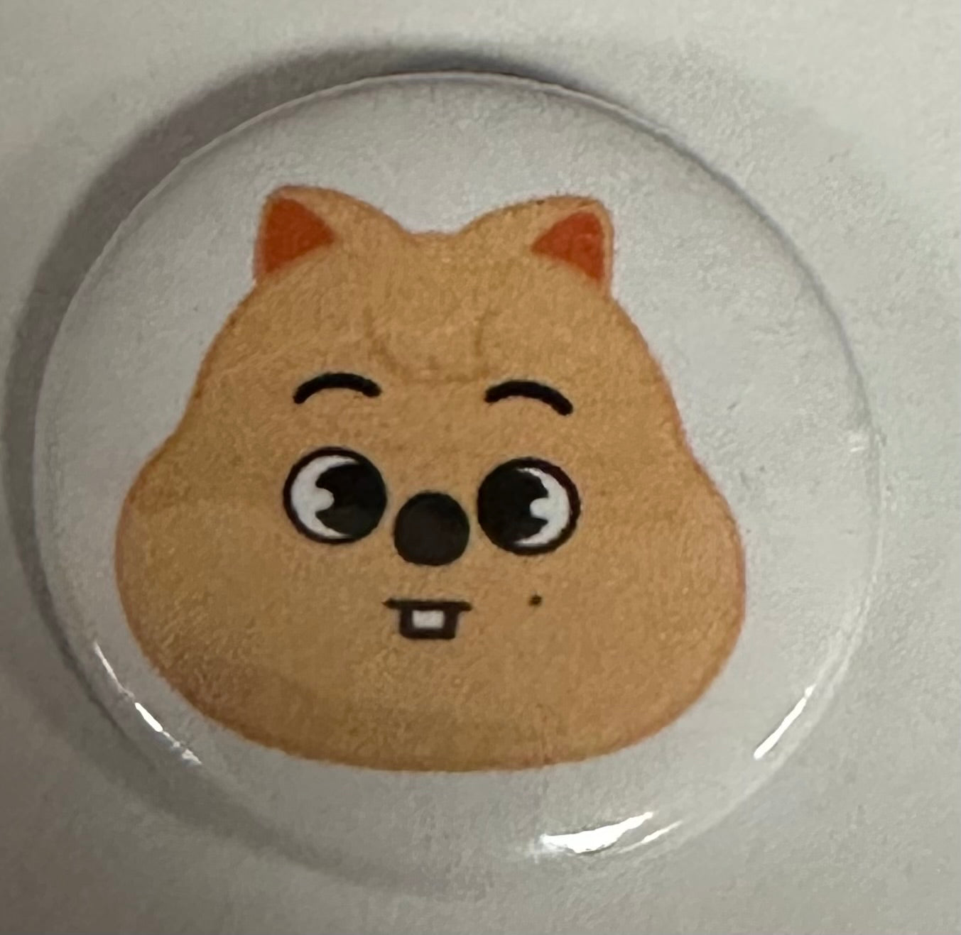 Stray kids mini buttons
