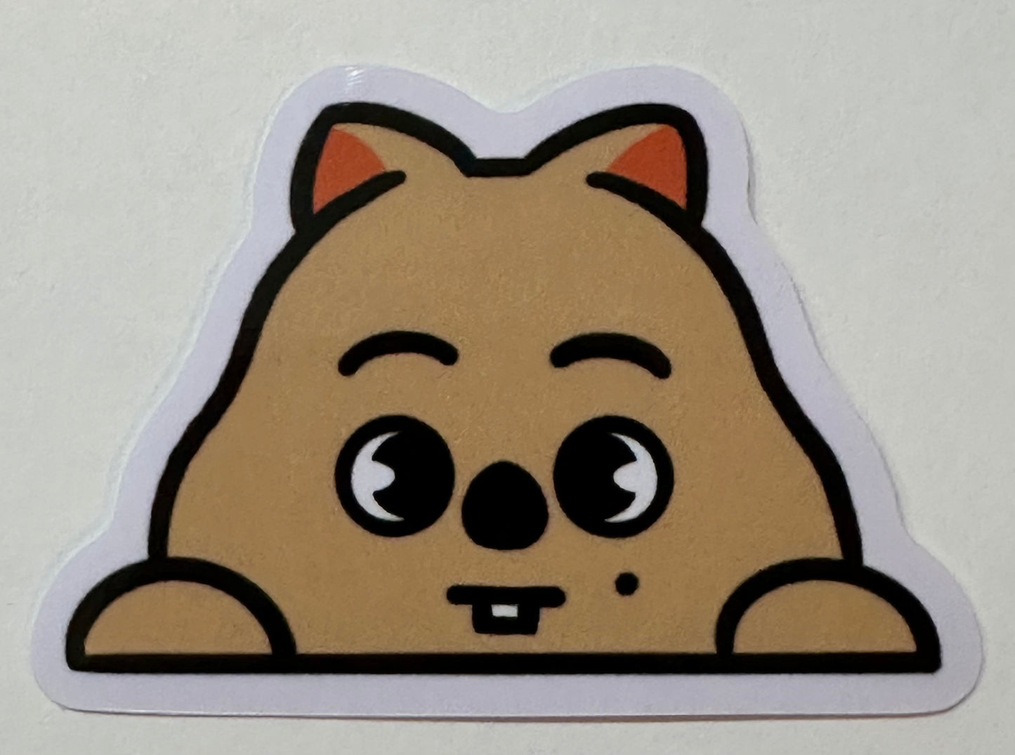 Skzoo peeker sticker
